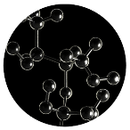 CoEnzyme Q10 (CoQ10)
